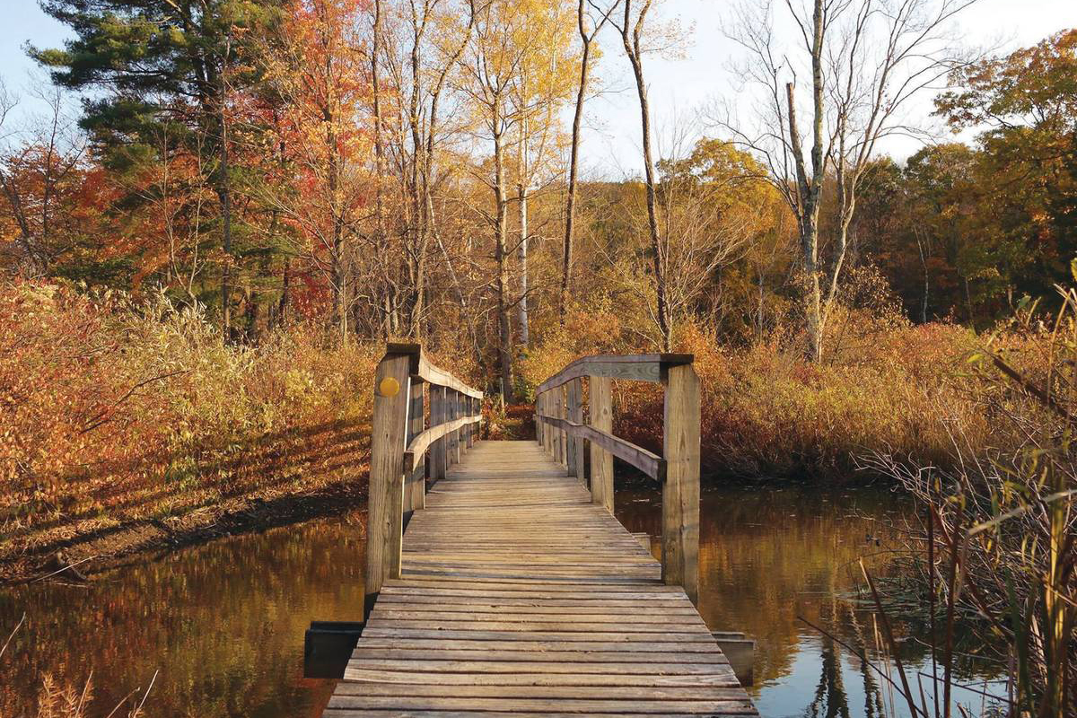 Fall Foliage Getaways a Short Drive From the Main Line Area