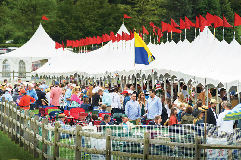 Go Behind the Scenes of PointtoPoint, Radnor Hunt Races and